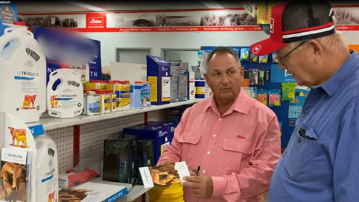 Beaudesert Elders manager Mark Meldrum and beef producer Steve Teitzel discussing the increasingly popular pain relief product Tri-Solfen.