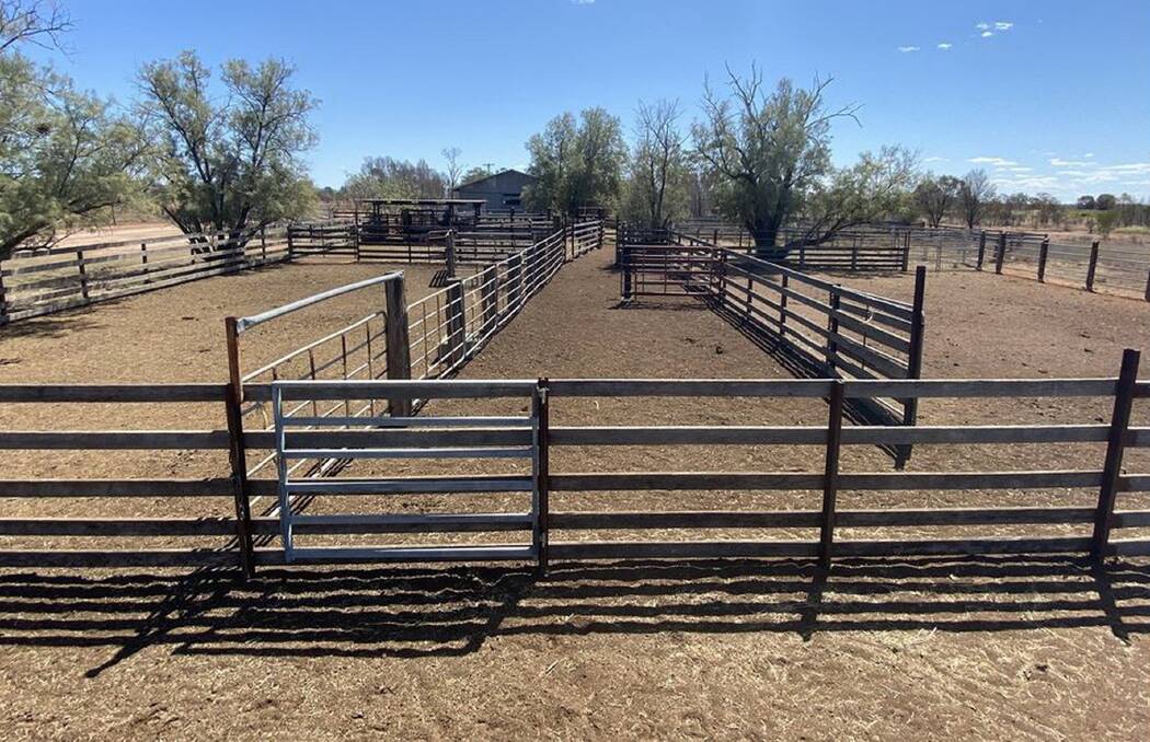 The 500 head-plus capacity cattle yards have a four-way draft, crush, and calf branding facilities.