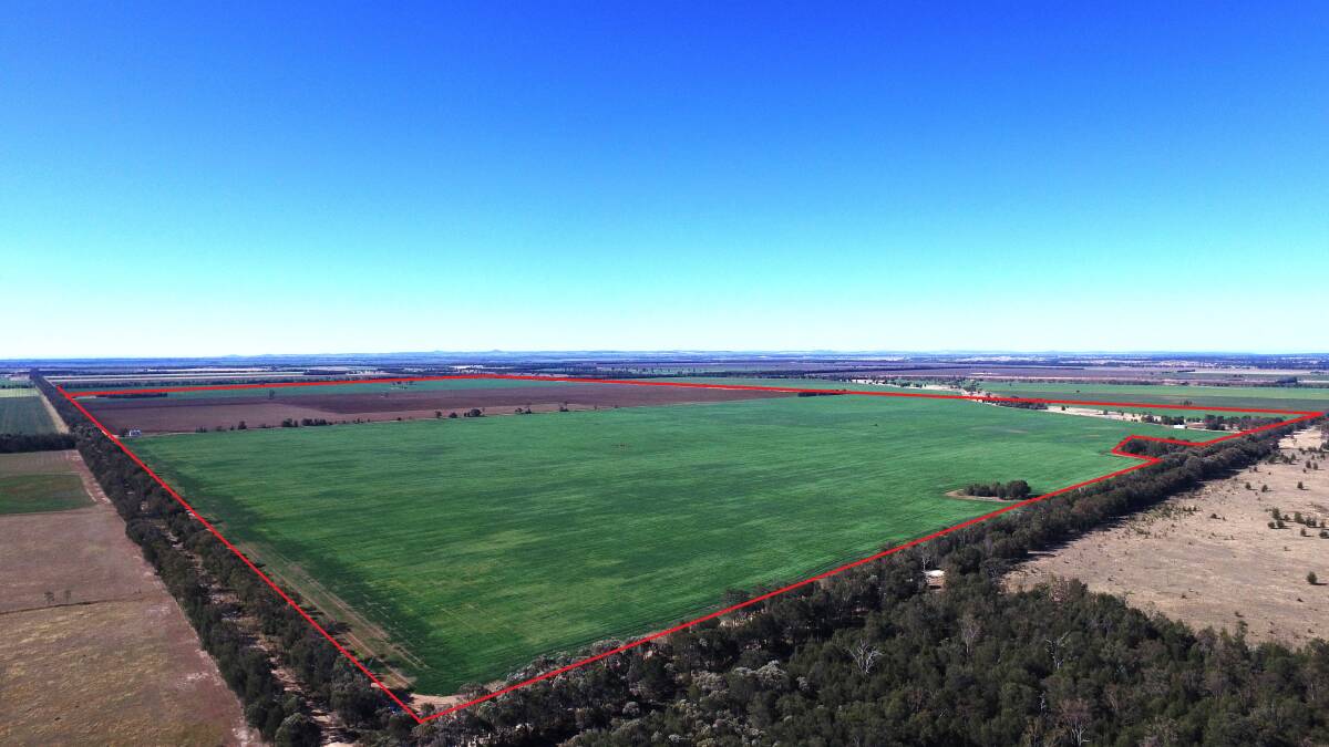 SEPTEMBER 21: The highly regarded 604 hectare Punch’s Creek district district property Binowee will be auctioned by Elders in Pittsworth.