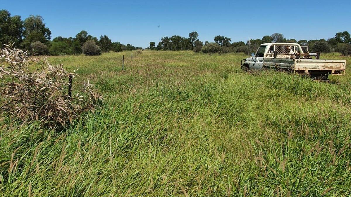 TOPX: The 5099 hectare Maranoa property Greenoaks will be auctioned on May 22.