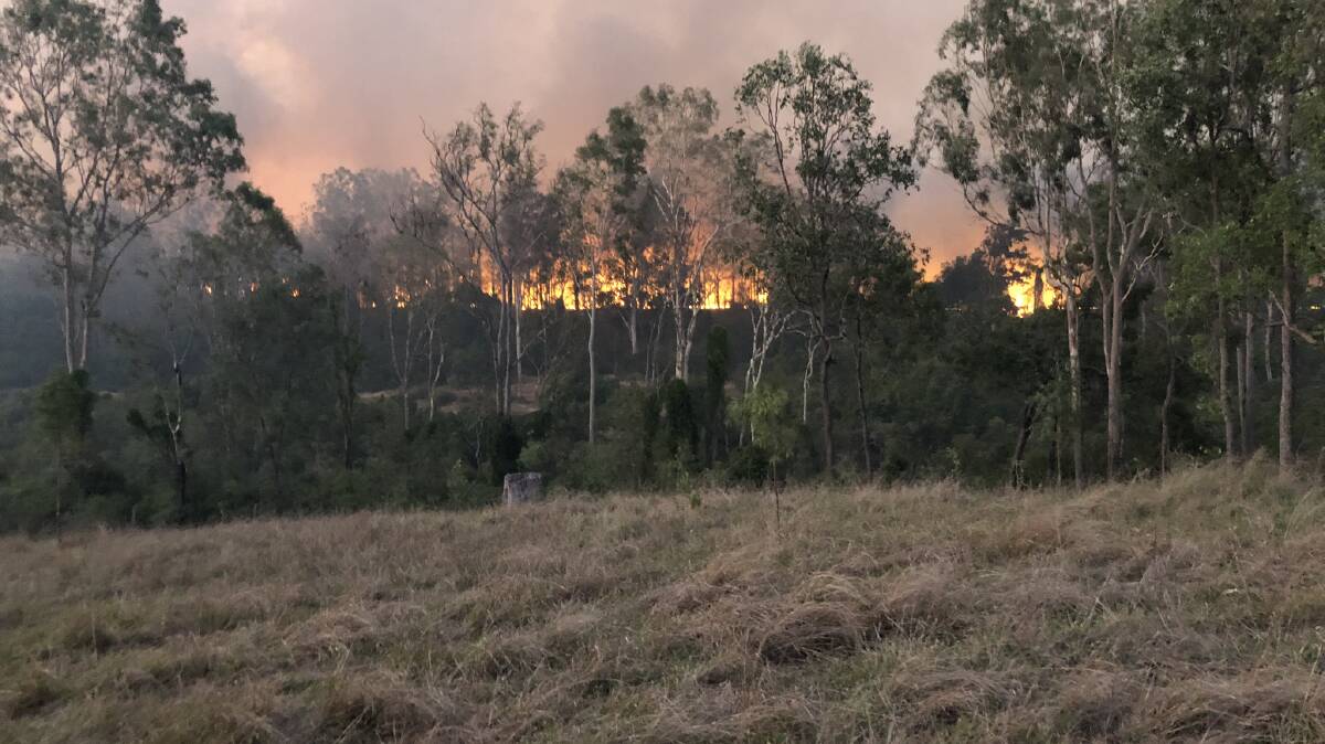 HIGH ALERT: Calls for a parliamentary inquiry into Queensland's devastating bushfires have been rejected. 