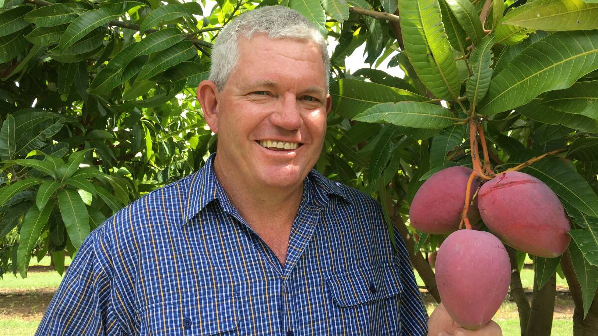 Dr Geoff Dickinson, DAF Queensland, says high-density planted mangoes maximise the efficient use of space.