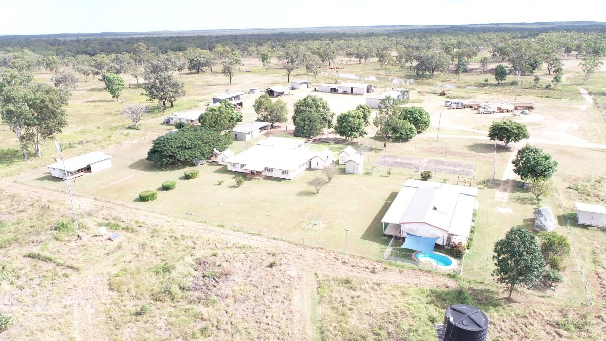 North Qld property offered with more than 2250 cattle