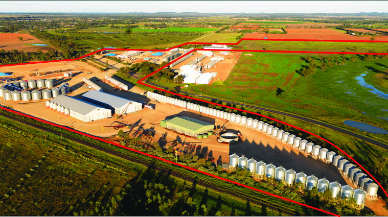 Specialised integrated NSW grain handling business Agrigrain is being offered for sale.