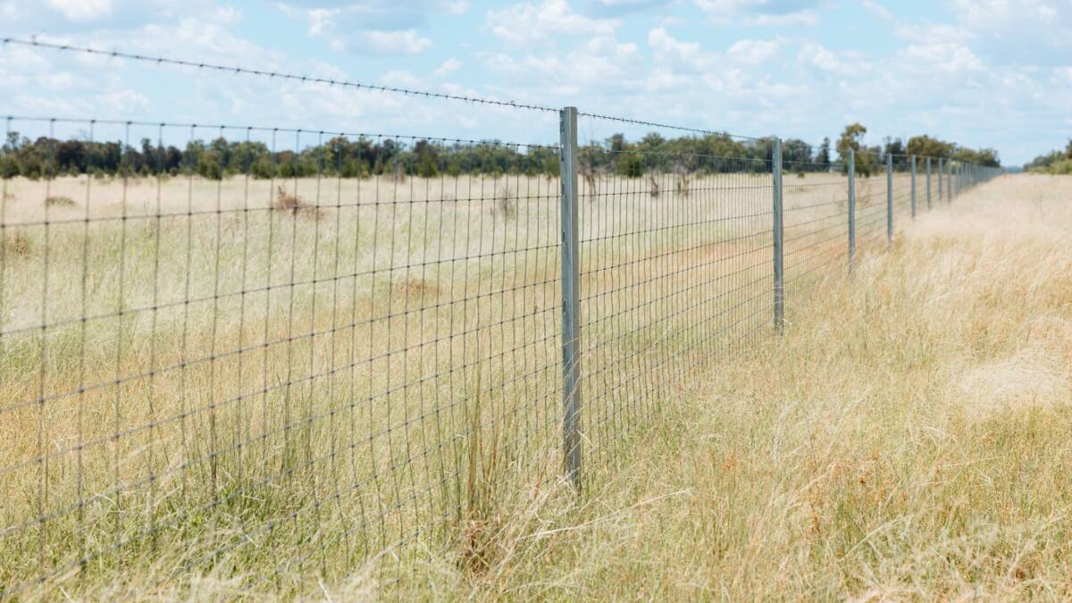 Tarawindi's boundary fence is in very good condition and includes sections of exclusion fencing. Picture supplied