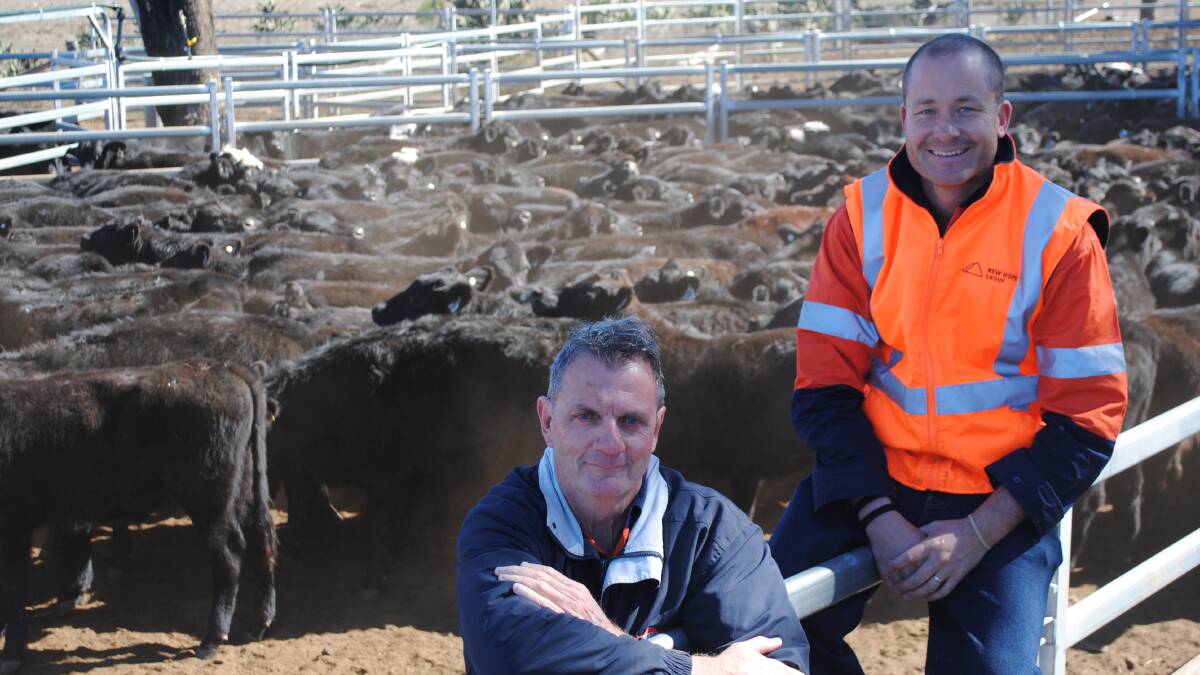 THE CATTLEMAN AND THE COALMINER: Acland Pastoral Company manager Tim Burgess and New Acland senior environment manager Tom Sheppard.