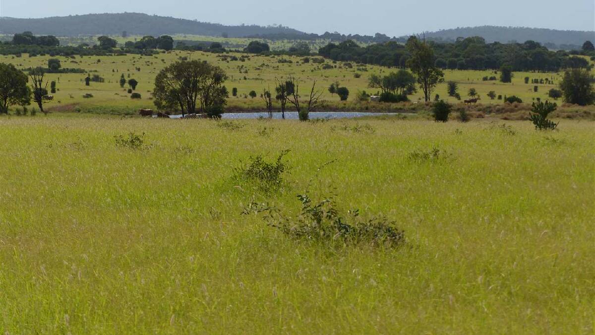 LANDMARK HARCOURTS: Taroom property Loch Craig has sold at auction for $4.925 million, significantly above its reserve price. 