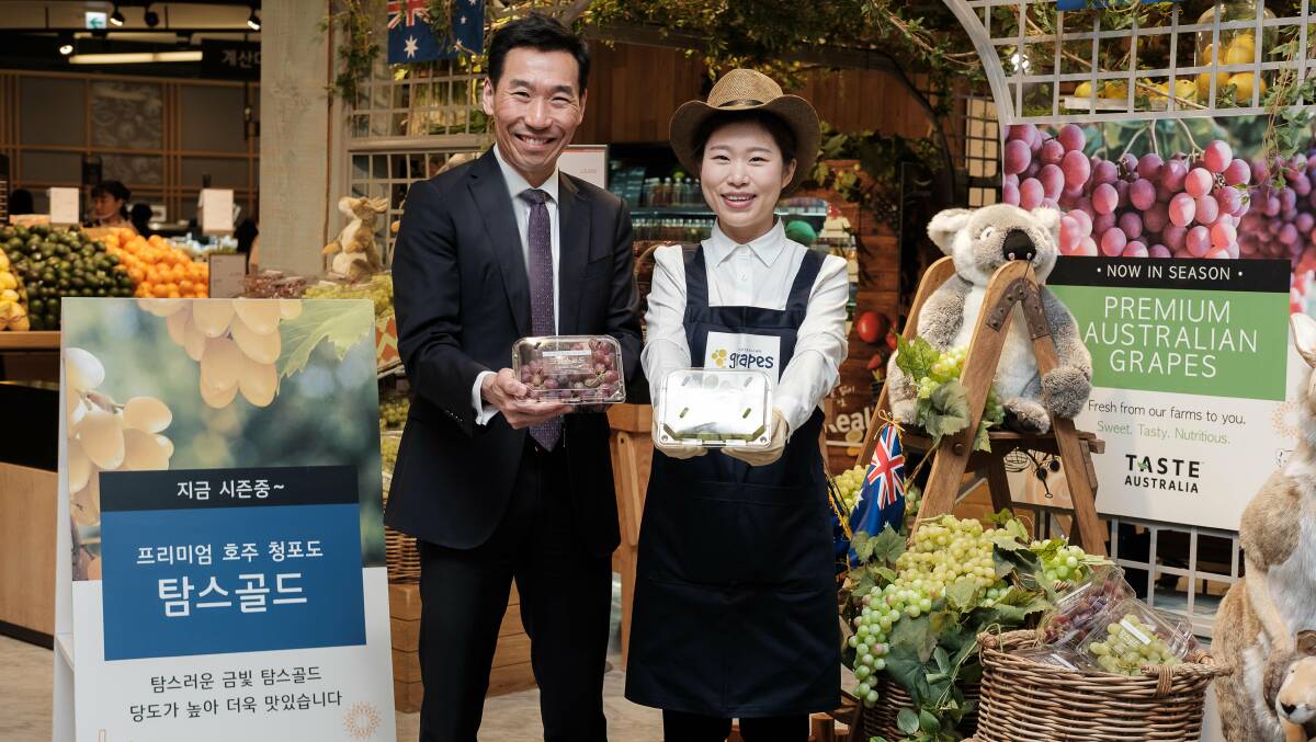 FREE TRADE BENEFIT: Australia's Ambassador in Korea, James Choi, at the launch of Australian table grapes in Hyundai Department Store. 