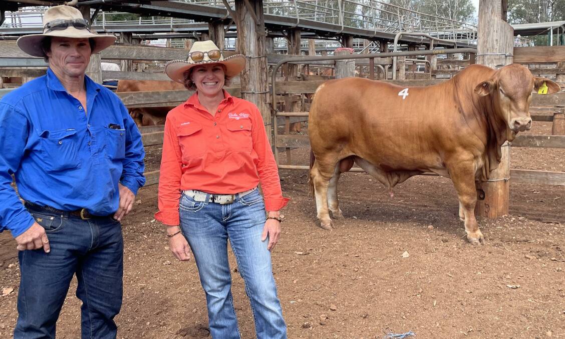 Buyer Wayne Caldwell, Kameruka, Ironpot, and Colleen Smith, Vale View Droughtmasters, Manumbar, and the equal $20,000 top priced Vale View Damon 2.