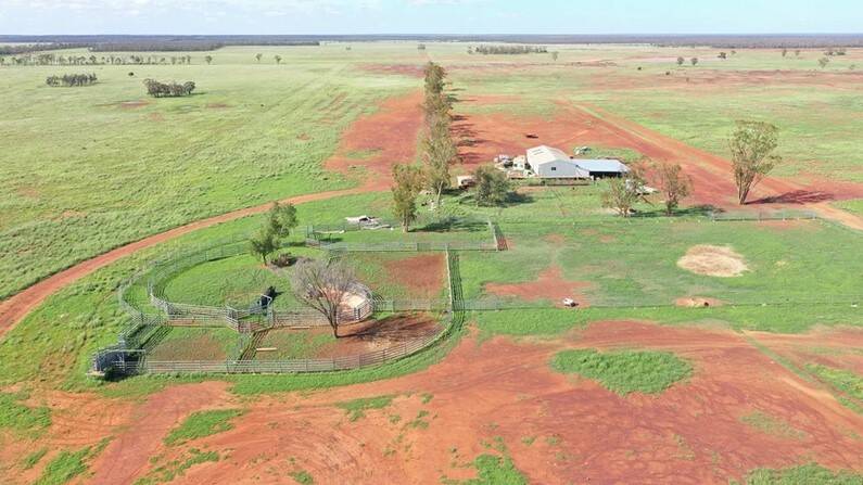 There are steel cattle yards and a four stand shearing shed, also with steel yards.