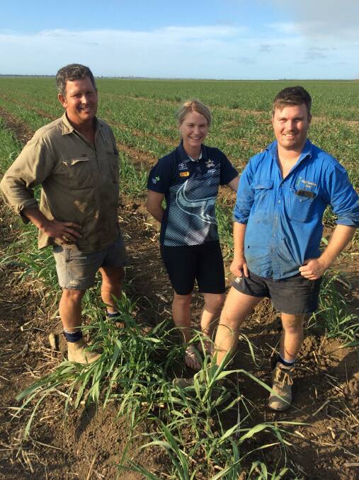 Burdekin cane growers Chris and Sonya Hesp and their son Damon are challenging the big stick approach to fertiliser use in the cane industry. 