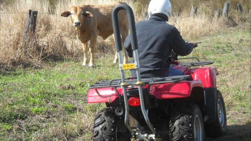 FARM SAFETY: Farmers say a quad bike rebate program would help save lives on Queensland farms.