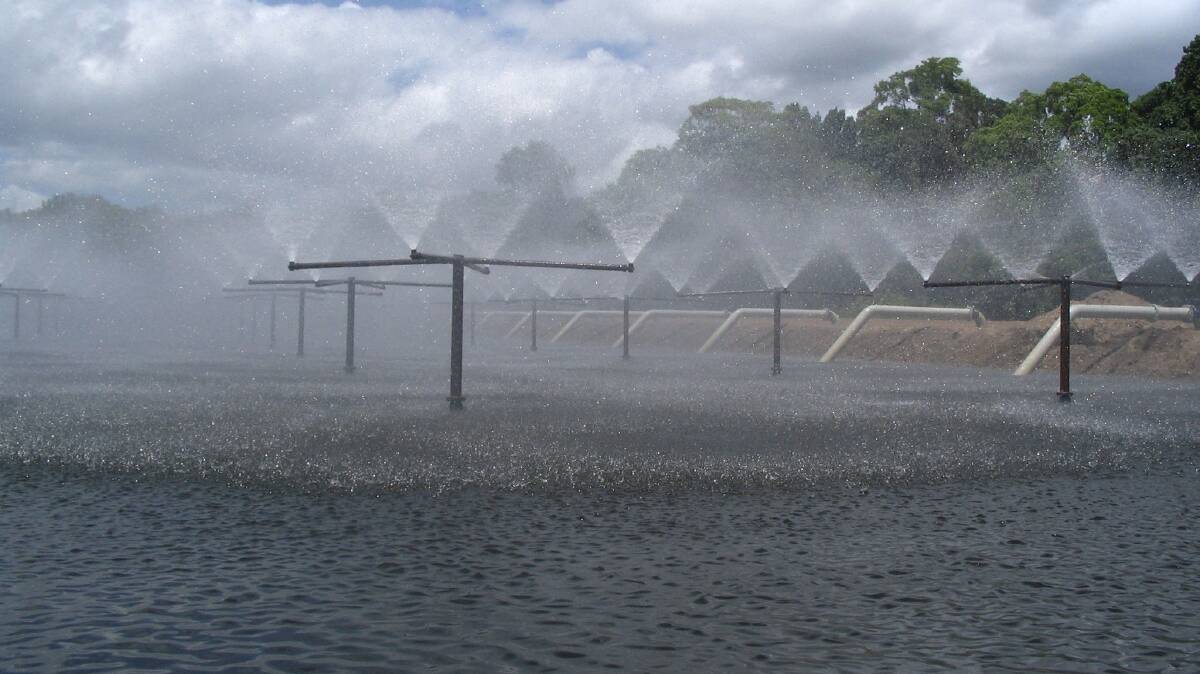 ELECTION 2020: Agricultural industry wants irrigation water prices dropped by up to 25 per cent to help drive Queensland's economy.