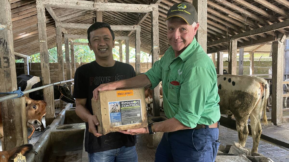 Dairy farmer Tulung Angung and Sam Stevens, AgCoTech, with one of the 20kg emissions control blocks being trialled in Indonesia. Picture - Mark Phelps 