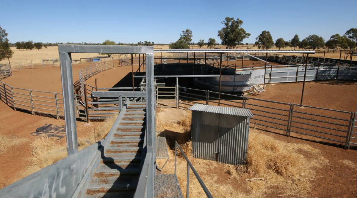 The cattle yards have been almost totally been rebuilt in the last two years. 