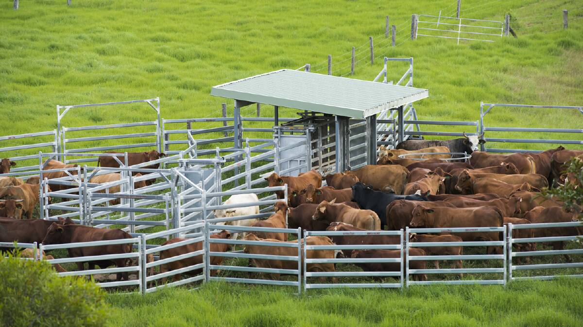 Improvements on Haranel include steel cattle yards.