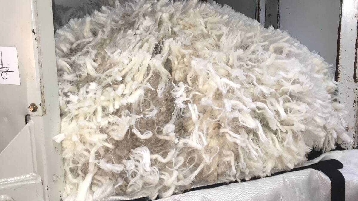RISING PRICES: The Australian wool market has opened the selling season up 7c.